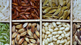 Seed Varieties