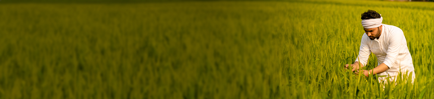 Kisan-Crop Loan Banner