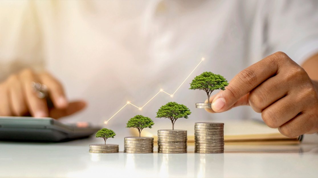 savings-account-for-high-income-earners